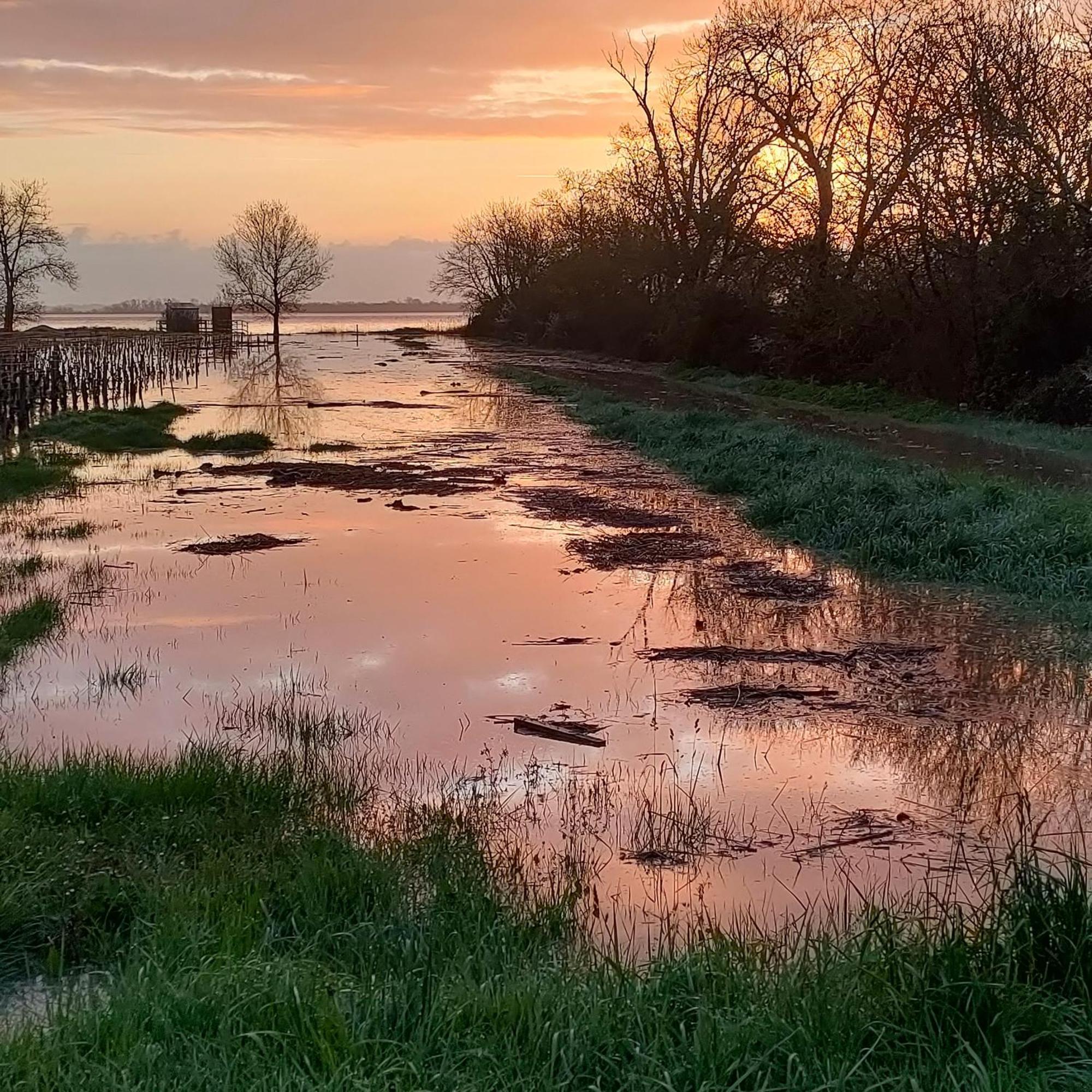 Villa Casa Tranquila Cerca El Estuario Pauillac Esterno foto
